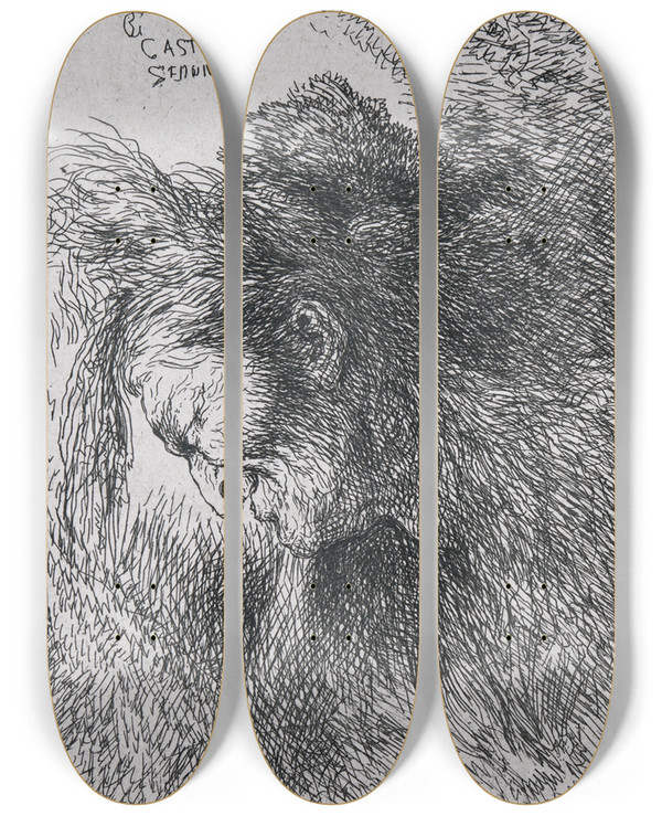 Triptych art skateboard deck of Giovanni Benedetto Castiglione Old Man Looking Down by Giovanni Benedetto Castiglione (1609-1664)