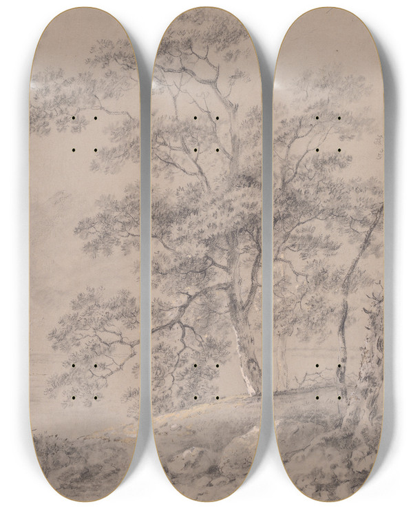 Triptych art skateboard deck of George Barret Tree Study by George Barret (1767-1842)