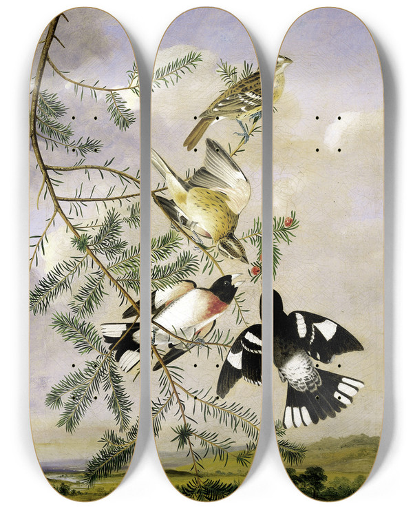 Triptych art skateboard deck of Joseph Bartholomew Kidd Rosebreasted Grosbeak by Joseph Bartholomew Kidd (1808-1889)