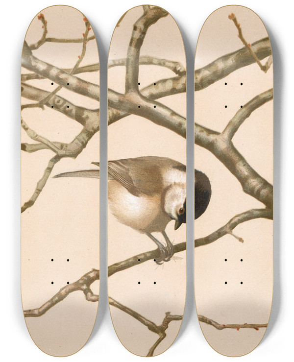 Triptych art skateboard deck of Lopaul Robert Msange Nonnette by Leo Paul Robert (1851-1923)