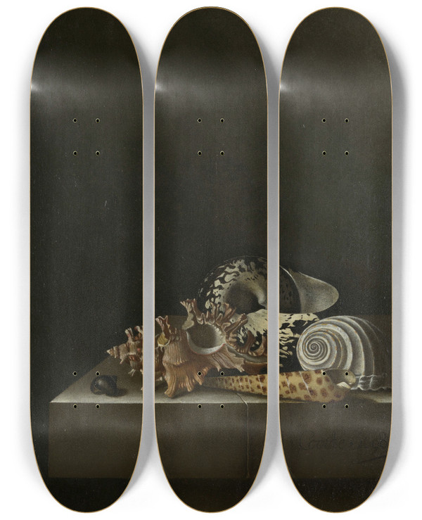Triptych art skateboard deck of Adriaen Coorte Shells On A Stone Plinth_2 by Adriaen Coorte (1660-1707)