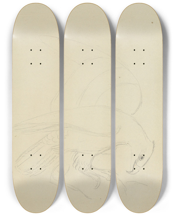 Triptych art skateboard deck of James Sowerby Golden Eagle by James Sowerby (1757-1822)