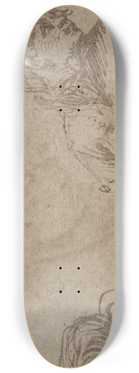 Jacob de Gheyn II - Study of a Young Man 8.25 inch art skate deck