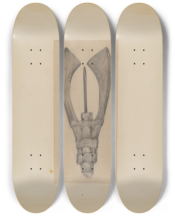 Triptych art skateboard deck of George B Wally Fish Spear by George B Wally