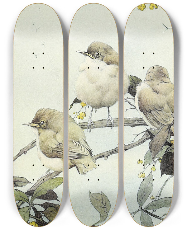 Triptych art skateboard deck of Edward Julius Detmold The Willow Warbler by Edward Julius Detmold (1883-1957)