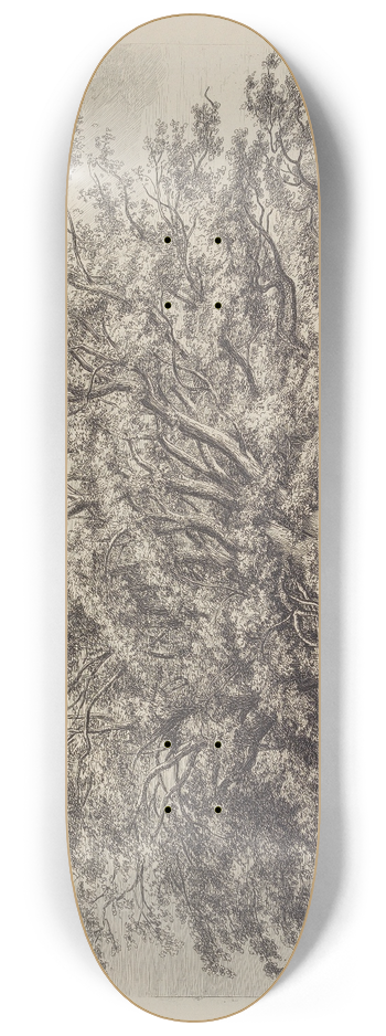 Jacob George Strutt - The Beech Tree at Knole 8.25 inch art skate deck