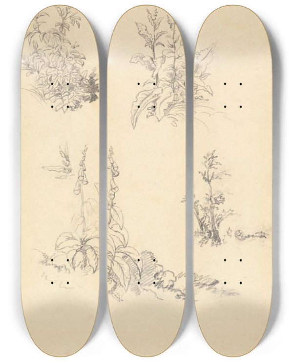 Triptych art skateboard deck of Robert Hills Study Of Foxgloves by Robert Hills (1769-1844)