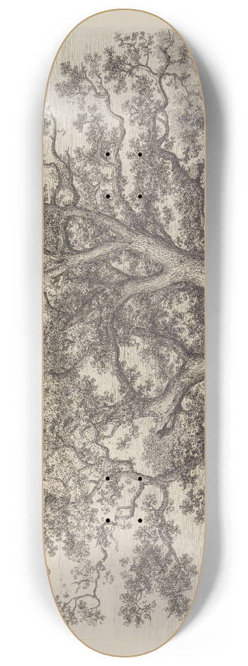 Jacob George Strutt - The Wotton Oak 8.25 inch art skate deck