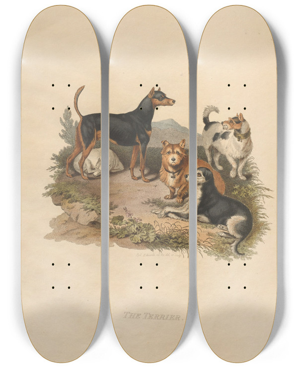 Triptych art skateboard deck of Sydenham Edwards The Terrier by Sydenham Edwards (1768-1819)
