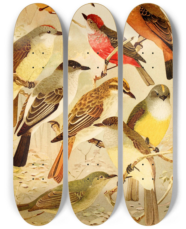 Triptych art skateboard deck of Emil August Gldi Bemtevs by Emil August Goldi (1859-1917)