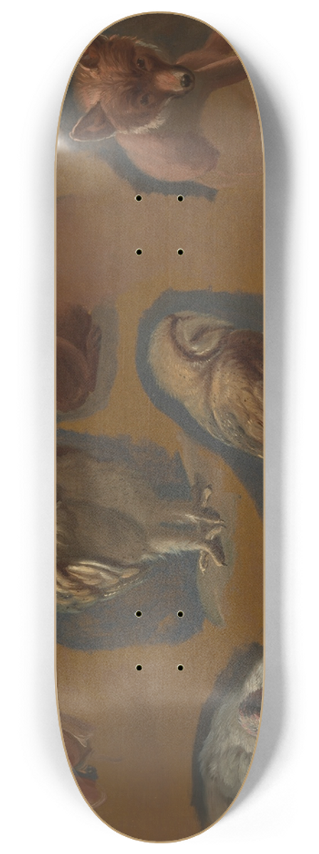 Jacques-Laurent Agasse - Studies of a Fox, a Barn Owl, a Peahen, and the Head of a Young Man 8.25 inch art skate deck