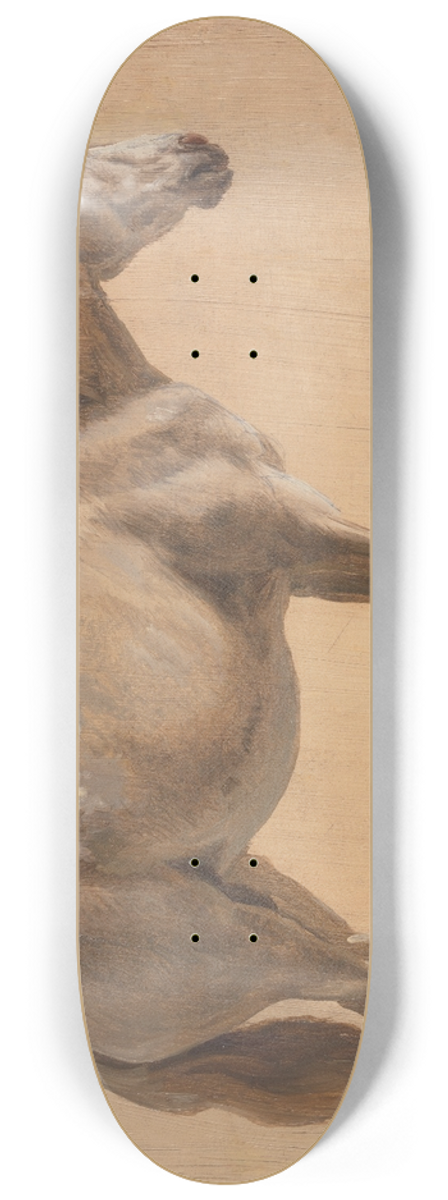 Jacques-Laurent Agasse - Study of a Grey Horse 8.25 inch art skate deck