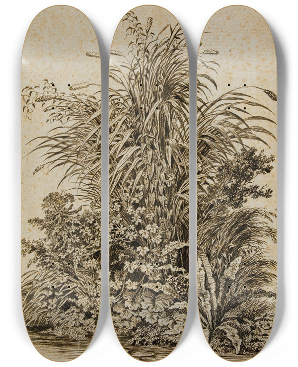 Triptych art skateboard deck of Carl Wilhelm Kolbe The Elder Plants At Waters Edge by Carl Wilhelm Kolbe the elder (1757-1835)