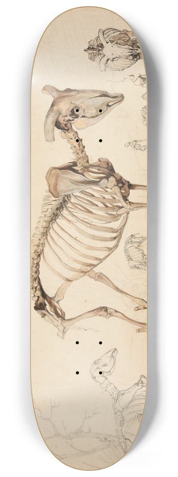 Jacques-Raymond Brascassat - Le gras pturage 8.25 inch art skate deck