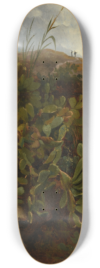 Jacques-Raymond Brascassat - Tour et cactus 8.25 inch art skate deck