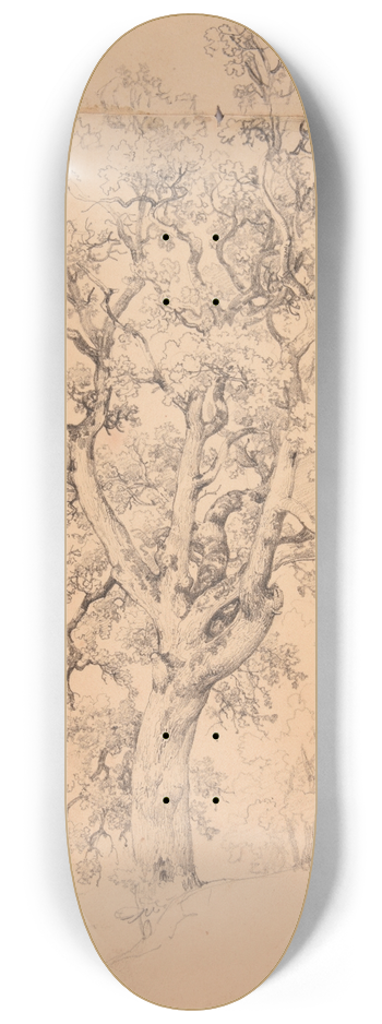 Jacques-Raymond Brascassat - tude darbre 8.25 inch art skate deck