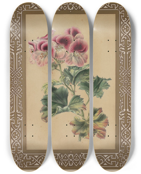Triptych art skateboard deck of James Andrews The Geranium by James Andrews (1801-1876)