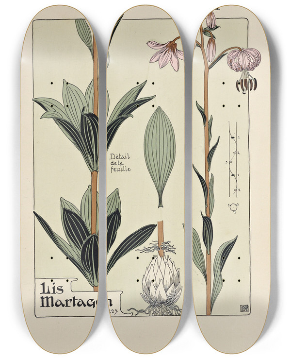 Triptych art skateboard deck of Maurice Pillard Verneuil Lis Martagon by Maurice Pillard Verneuil (1869-1942)