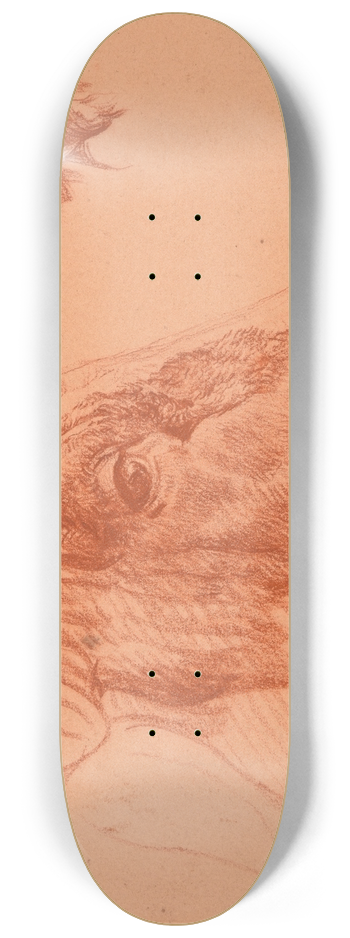 Jacques-Raymond Brascassat - tude de tte de buf 8.25 inch art skate deck