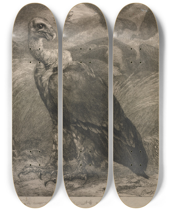 Triptych art skateboard deck of Flix Bracquemond Vulture by Felix Bracquemond (1833-1914)