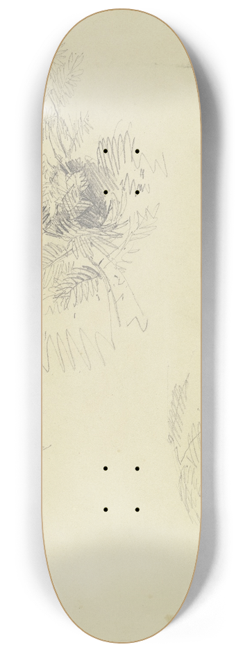 Jakob Becker - Flower 8.25 inch art skate deck