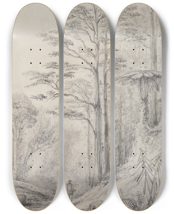 Triptych art skateboard deck of William Swainson Black Birch Forest Upper Hutt by William Swainson (1789-1855)