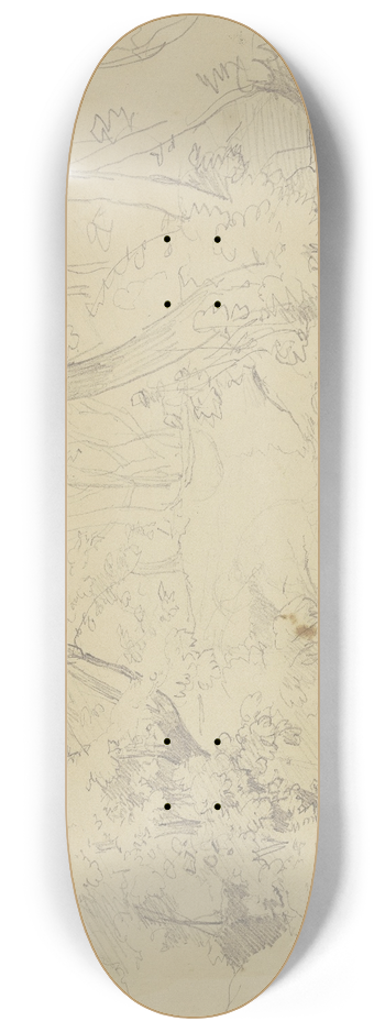 Jakob Becker - Studies of branches 8.25 inch art skate deck