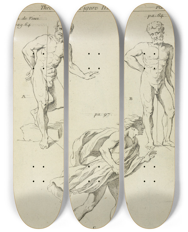 Triptych art skateboard deck of Peter Paul Rubens Three Studies Of The Figure by Peter Paul Rubens (1577-1640)