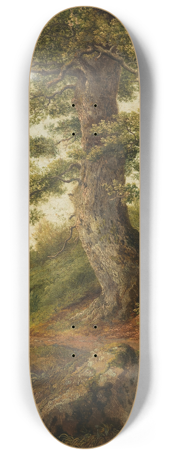 Jakob Philipp Hackert - Alter Olivenbaum bei Camaldoli 8.25 inch art skate deck