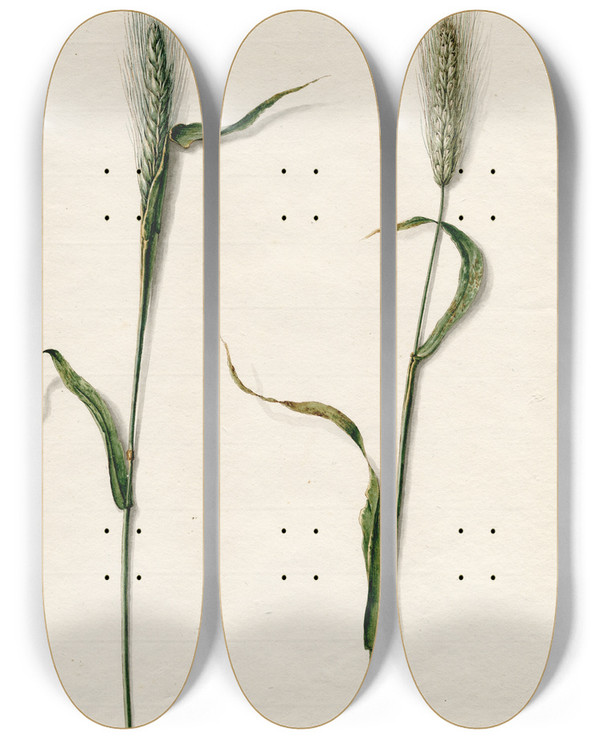 Triptych art skateboard deck of Barend Hendrik Thier Rogge by Barend Hendrik Thier (1751-1814)