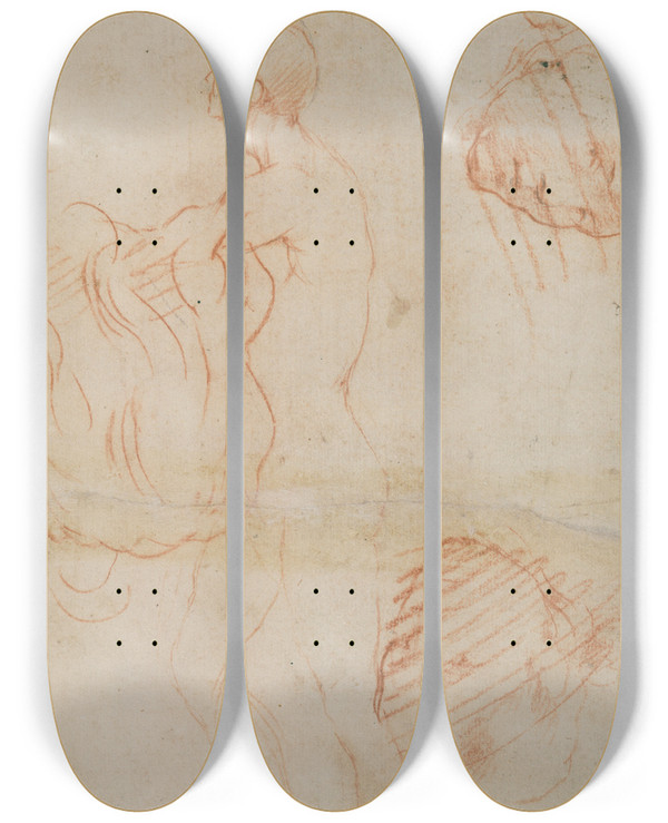 Triptych art skateboard deck of Andrea Del Sarto Figure Study And Face by Andrea del Sarto (1486-1530)