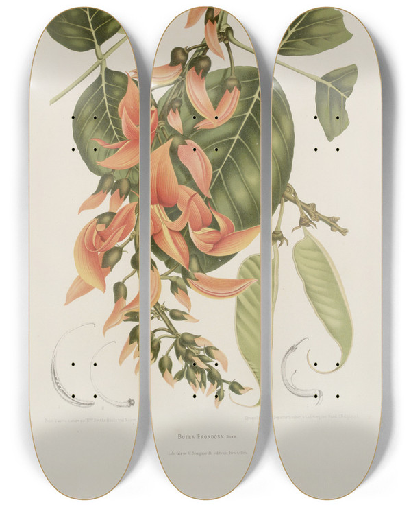 Triptych art skateboard deck of Berthe Hoola Van Nooten Fleurs Fruits Et Feuillages Choisis De Lille De Java Pl18 by Berthe Hoola Van Nooten (1817-1892)