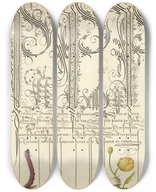 Triptych art skateboard deck of Joris Hoefnagel Caterpillar And Globeflower by Joris Hoefnagel (1542-1600)