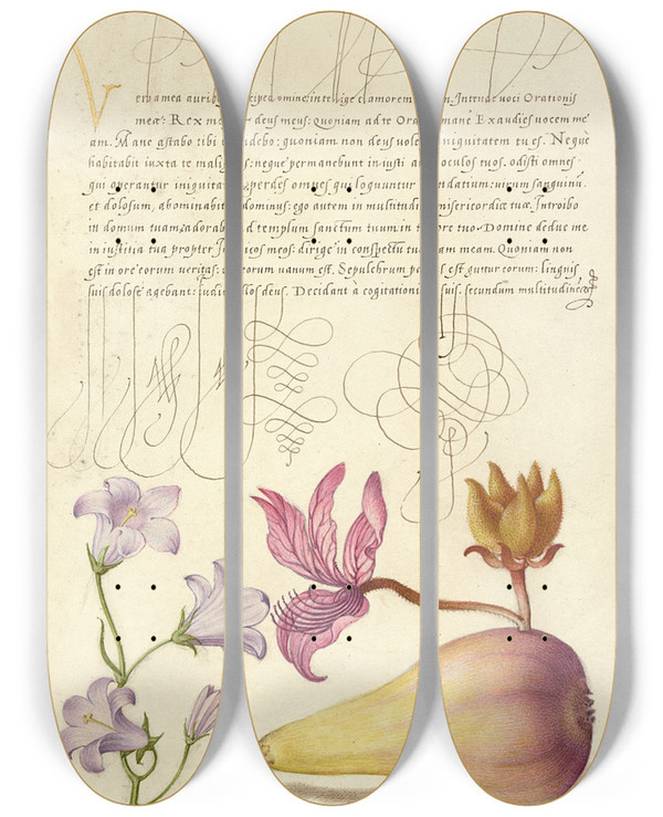 Triptych art skateboard deck of Joris Hoefnagel Rampion Dittany And Pear by Joris Hoefnagel (1542-1600)