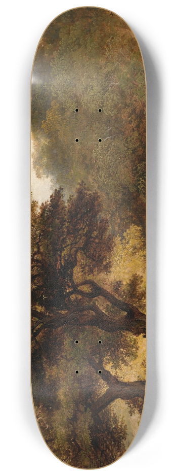 James Arthur O'Connor - A View of the Glen of the Dargle 8.25 inch art skate deck