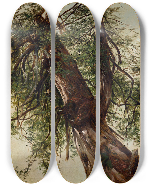 Triptych art skateboard deck of David Johnson Study Of A Cedar by David Johnson (1827-1908)