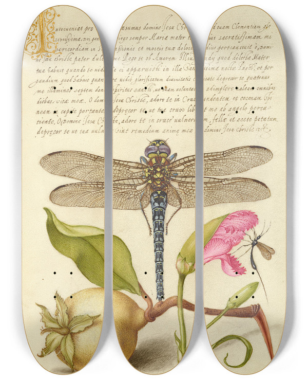 Triptych art skateboard deck of Joris Hoefnagel Dragonfly Pear Carnation And Insect by Joris Hoefnagel (1542-1600)