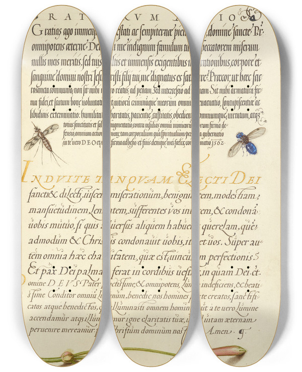Triptych art skateboard deck of Joris Hoefnagel Insects And Carnation by Joris Hoefnagel (1542-1600)