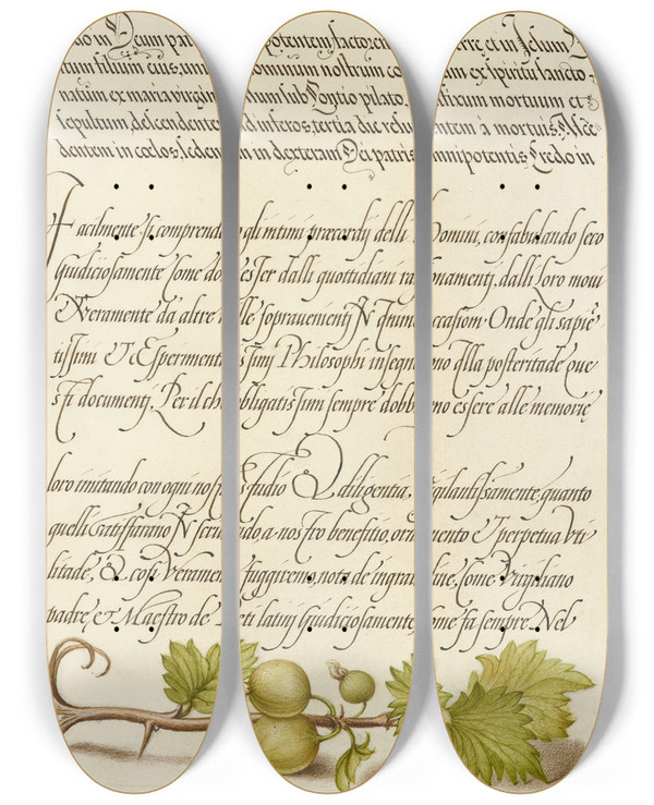 Triptych art skateboard deck of Joris Hoefnagel European Currant by Joris Hoefnagel (1542-1600)