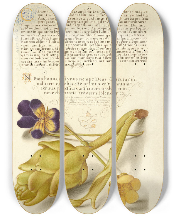 Triptych art skateboard deck of Joris Hoefnagel Wild Pansy And Artichoke by Joris Hoefnagel (1542-1600)