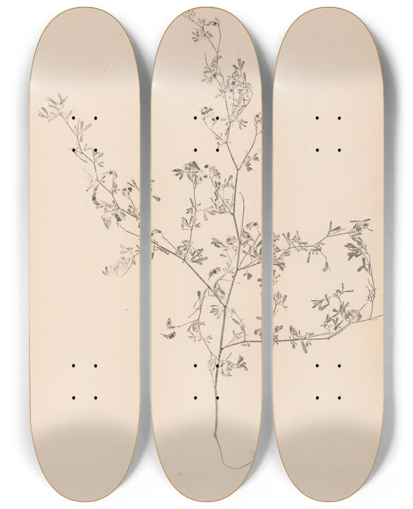 Triptych art skateboard deck of Louis Antoine Cusin Herbier De La Flore Franaise Pl0250 by Louis Antoine Cusin (1824-1901)