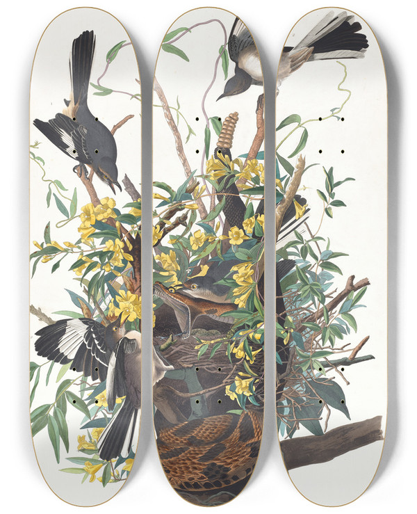 Triptych art skateboard deck of John James Audubon Mocking Bird by John James Audubon (1785-1851)