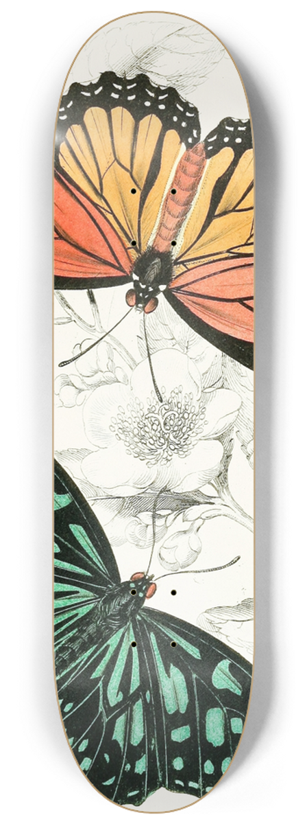 James Duncan - Euploea Limniace, Euploea Plexippe 8.25 inch art skate deck