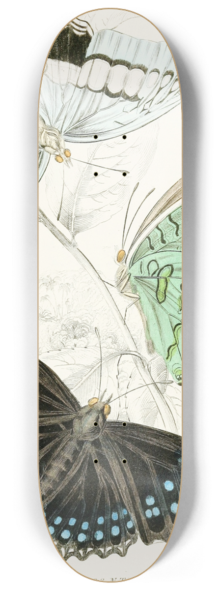 James Duncan - Nymphalis Ethiocles,Nymphalis Tiridates 8.25 inch art skate deck
