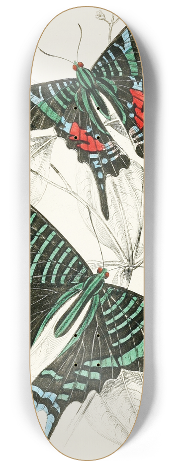 James Duncan - Urania Sloanus, Urania Leilus 8.25 inch art skate deck