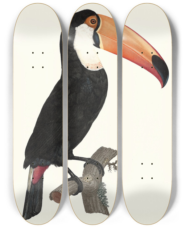 Triptych art skateboard deck of Jacques Barraband Le Toco by Jacques Barraband (1767-1809)