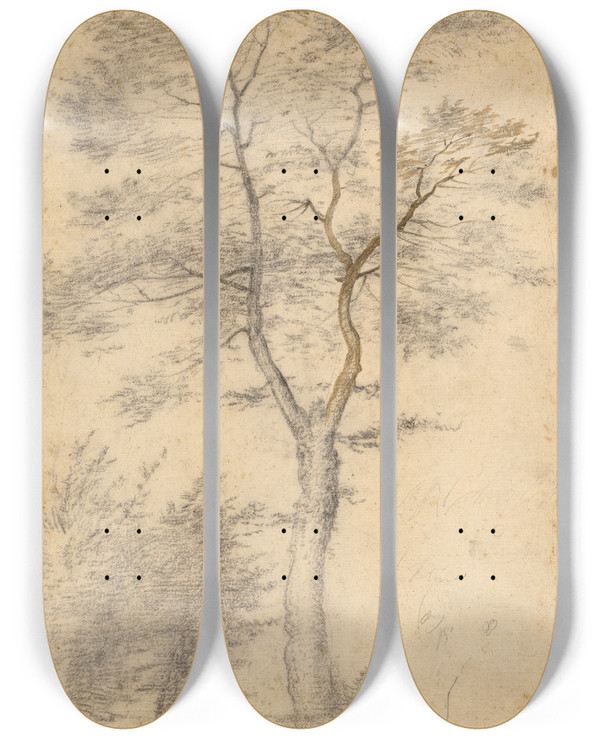 Triptych art skateboard deck of Fra Bartolomeo Three Studies Of Trees by Fra Bartolomeo (1472-1517)