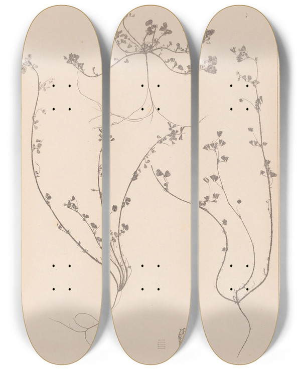 Triptych art skateboard deck of Louis Antoine Cusin Herbier De La Flore Franaise Pl0285 by Louis Antoine Cusin (1824-1901)
