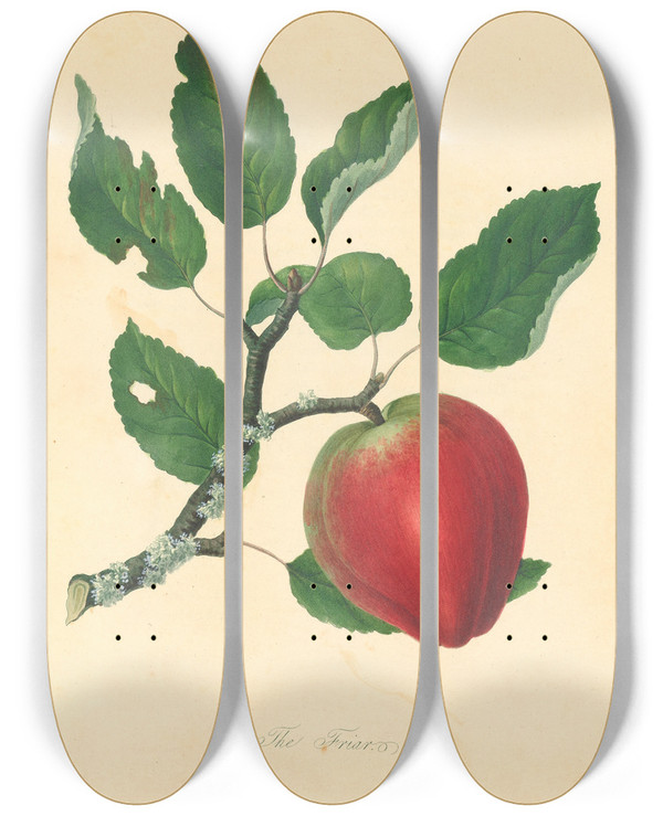 Triptych art skateboard deck of Thomas Andrew Knight Friar by Thomas Andrew Knight (1759-1838)