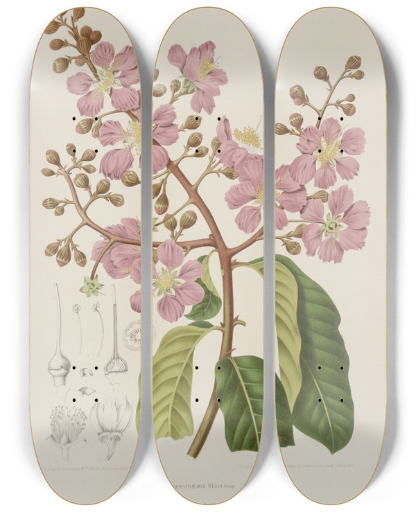 Triptych art skateboard deck of Berthe Hoola Van Nooten Fleurs Fruits Et Feuillages Choisis De Lille De Java Pl22 by Berthe Hoola Van Nooten (1817-1892)
